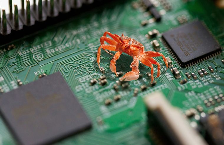 A crab standing on a printed circuit board